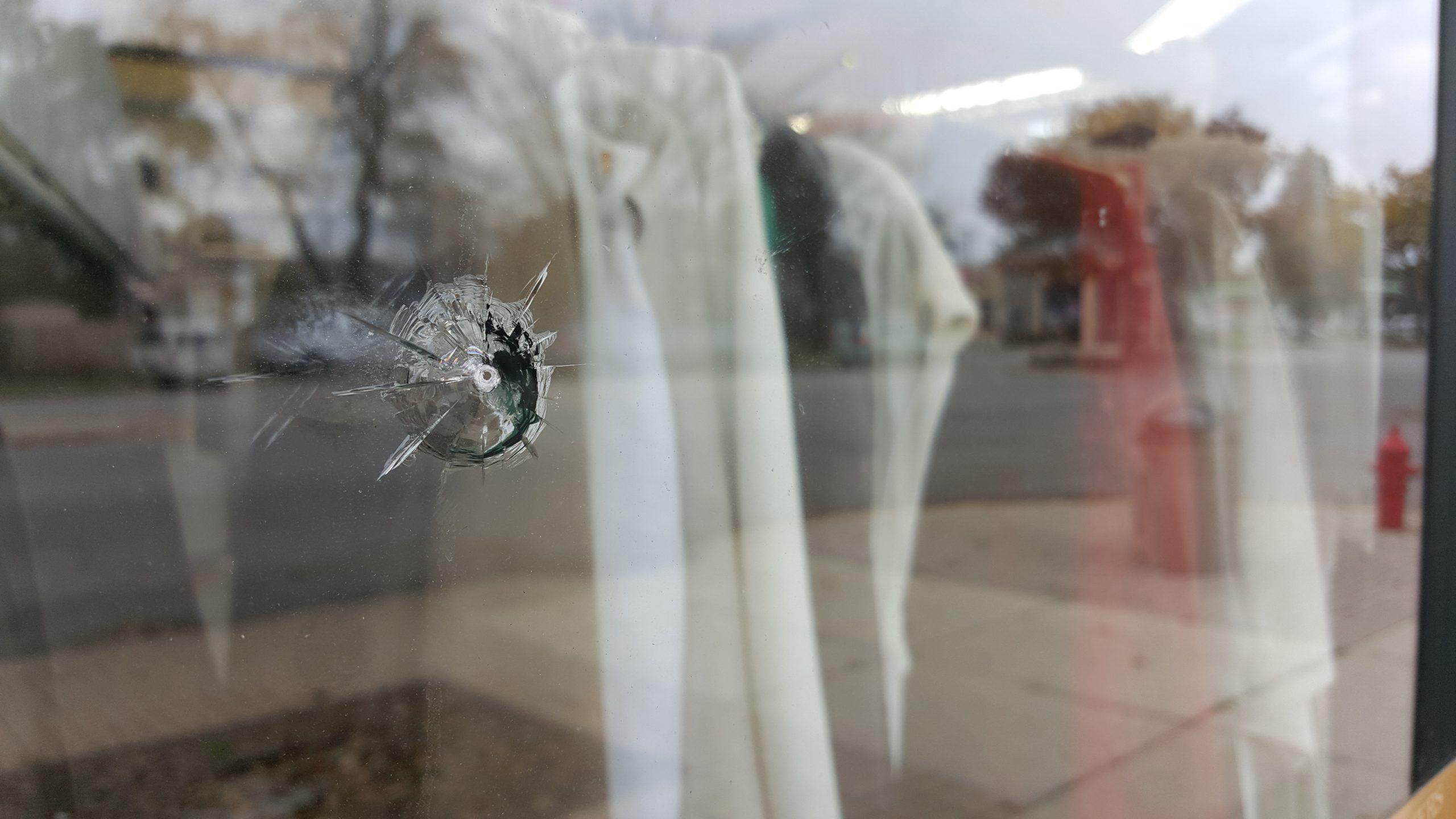 BB gun shots cause thousands in damage - Wednesday Journal